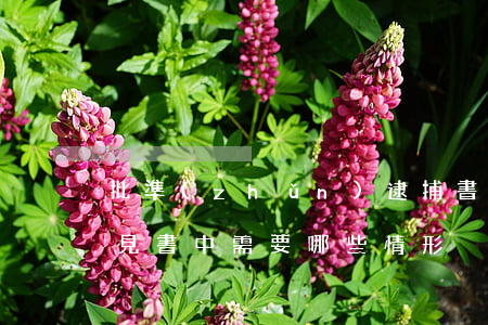 批準(zhǔn)逮捕書、起訴意見書中需要哪些情形